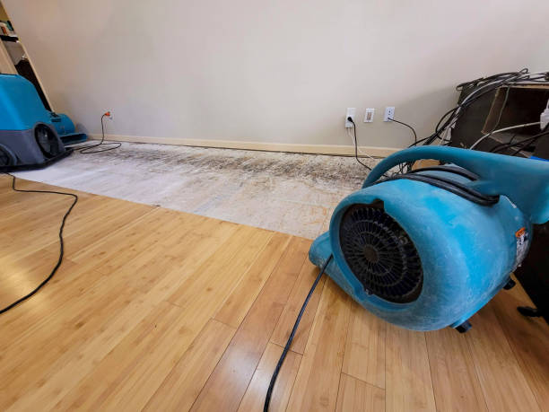Professional Water Removal technician working in Dennis, TX